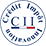 CII - crédit impôt innovation